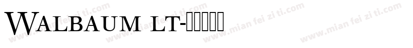 Walbaum lt字体转换